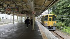 75429-1.jpg