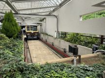 75429.jpg