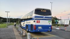 75498.jpg
