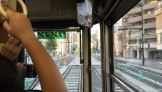 75647-3.jpg