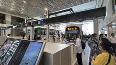 75653-1.jpg