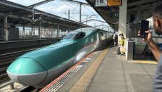 75810.jpg