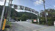75837-2.jpg
