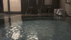 75871-3.jpg
