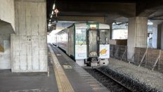 75890.jpg
