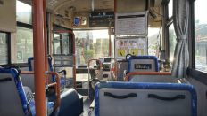 75939-2.jpg