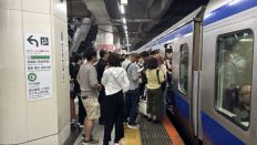 76037.jpg