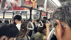 76185-2.jpg