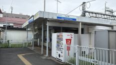 76195.jpg