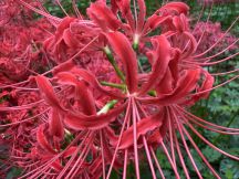 76200-3.jpg
