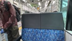 76237-1.jpg