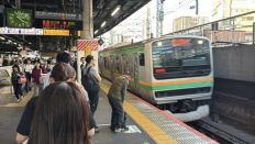 76284-1.jpg
