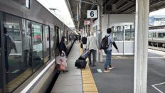 76312.jpg