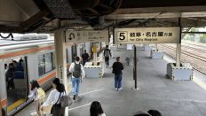76313-1.jpg