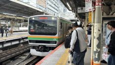 76331-1.jpg
