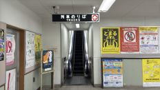 76372-2.jpg