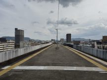 76372-3.jpg