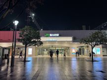 76464-2.jpg
