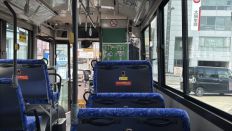 76469-2.jpg