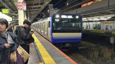76508-1.jpg