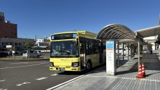 76542-1.jpg