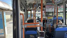 76542-2.jpg