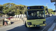 76549-1.jpg