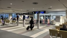 76767-2.jpg