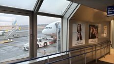 76768-2.jpg