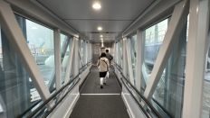 76768-3.jpg