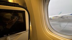 76768-5.jpg