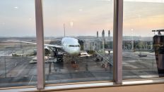 76768.jpg