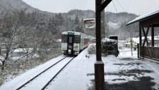 76782-1.jpg