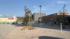 76841-3.jpg
