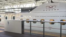 76843-1.jpg