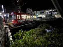 76859-1.jpg