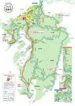 76905-2.jpg