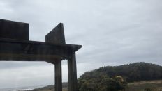 76934-5.jpg