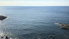 77006-1.jpg
