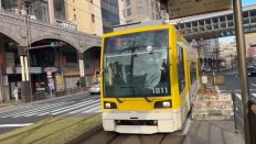 77033-1.jpg