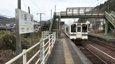 77041.jpg