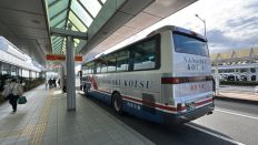 77064-2.jpg