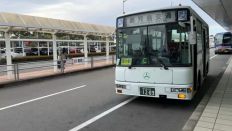 77066-1.jpg