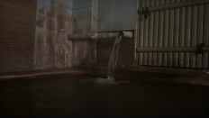 77080.jpg