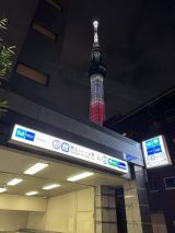 77110-1.jpg