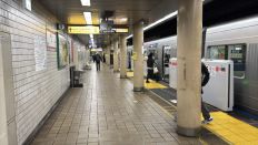 77113.jpg