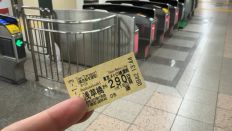 77118-1.jpg