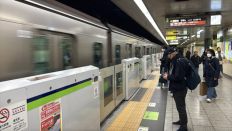 77119-1.jpg