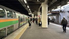 77136.jpg