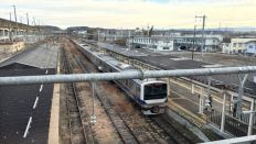 77137-1.jpg